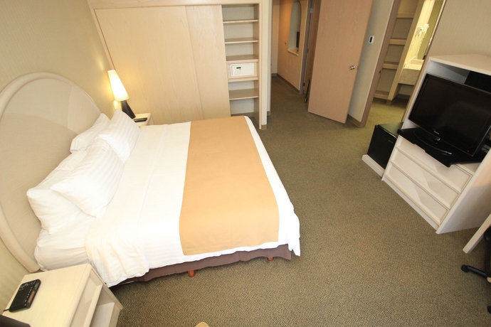 Imagen de la habitación del Hotel Holiday Inn Convention Center, An Ihg. Foto 4