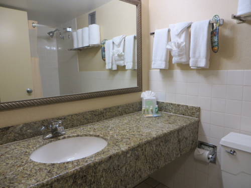 Imagen de la habitación del Hotel Holiday Inn Country Club Plaza. Foto 5