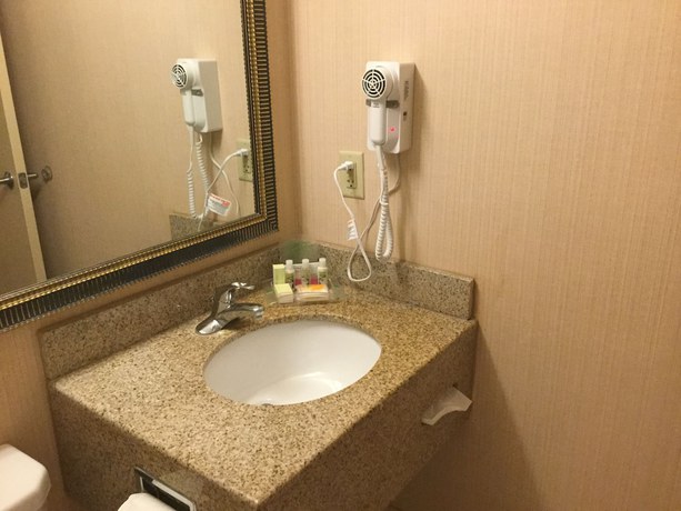 Imagen de la habitación del Hotel Holiday Inn Dallas Dfw Airport Area West, An Ihg. Foto 9