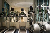 Imagen general del Hotel Holiday Inn Dallas-Fort Worth Airport S. Foto 2