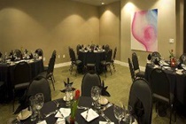 Imagen general del Hotel Holiday Inn Dallas-Fort Worth Airport S. Foto 6