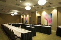 Imagen general del Hotel Holiday Inn Dallas-Fort Worth Airport S. Foto 10