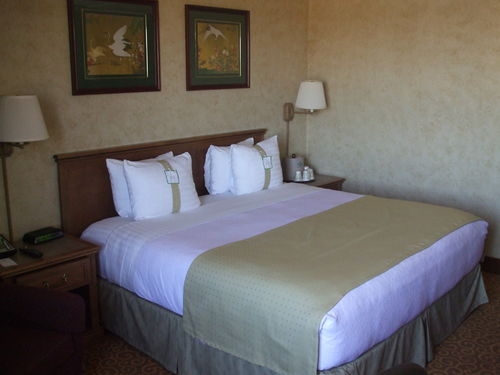 Imagen de la habitación del Hotel Holiday Inn Dallas-richardson. Foto 2