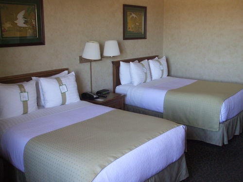 Imagen de la habitación del Hotel Holiday Inn Dallas-richardson. Foto 3