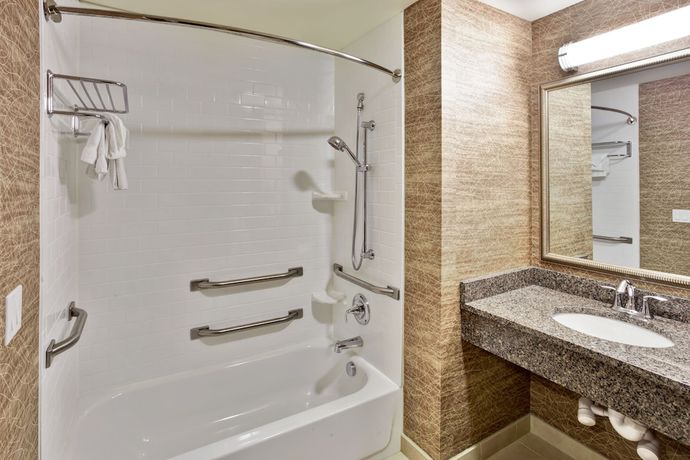 Imagen de la habitación del Hotel Holiday Inn Detroit Metro Airport, an IHG. Foto 7