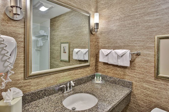 Imagen de la habitación del Hotel Holiday Inn Detroit Metro Airport, an IHG. Foto 10