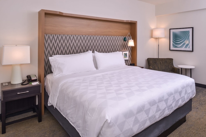 Imagen de la habitación del Hotel Holiday Inn Detroit Northwest - Livonia. Foto 2