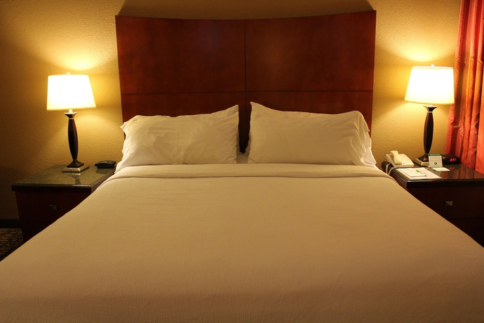 Imagen de la habitación del Hotel Holiday Inn Downtown Memphis, An Ihg. Foto 5