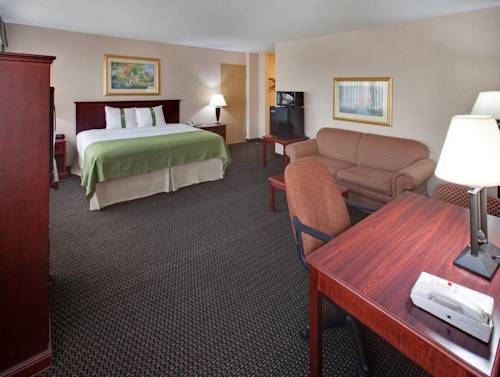 Imagen de la habitación del Hotel Holiday Inn Downtown - Mercy Area by IHG. Foto 16