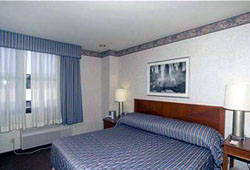 Imagen general del Hotel Holiday Inn Downtown Soho. Foto 20