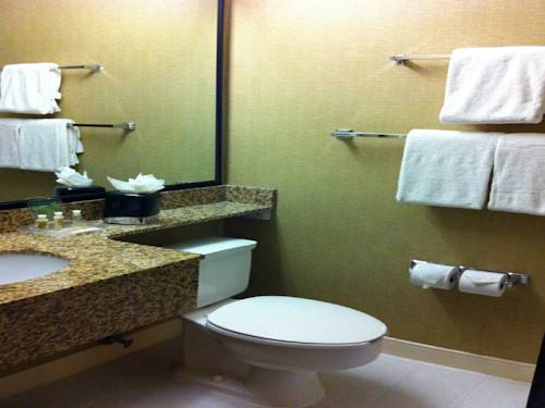 Imagen de la habitación del Hotel Holiday Inn Dublin-pleasanton, An Ihg. Foto 11