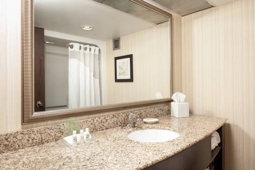 Imagen de la habitación del Hotel Holiday Inn Dubuque/galena, An Ihg. Foto 6