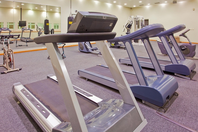 Imagen de los interiores del Hotel Holiday Inn Durango. Foto 10