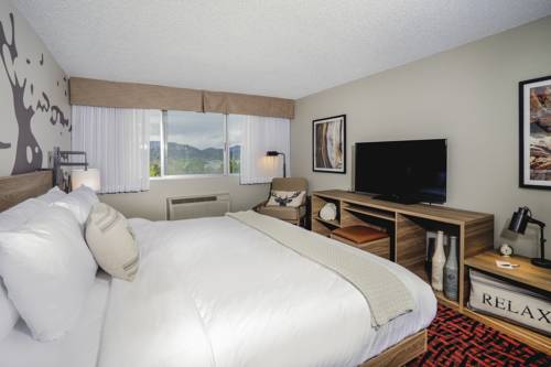 Imagen de la habitación del Hotel Holiday Inn Estes Park, an IHG. Foto 5