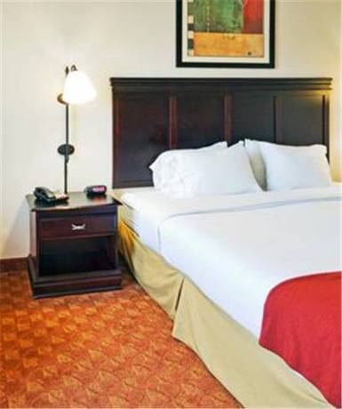 Imagen de la habitación del Hotel Holiday Inn Express And Suites Athens. Foto 7