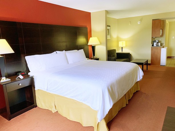 Imagen de la habitación del Hotel Holiday Inn Express And Suites Atlanta-johns Creek. Foto 14