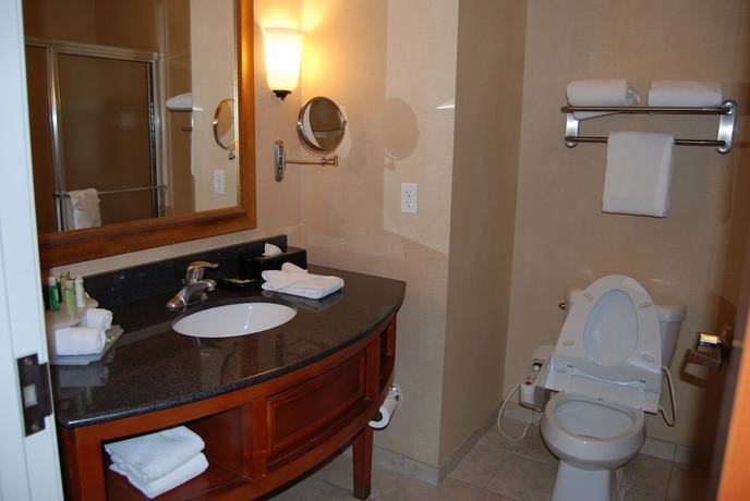 Imagen de la habitación del Hotel Holiday Inn Express And Suites Auburn Hills, An Ihg. Foto 2