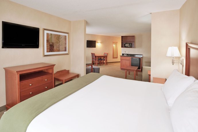 Imagen de la habitación del Hotel Holiday Inn Express And Suites Auburn Hills, An Ihg. Foto 11