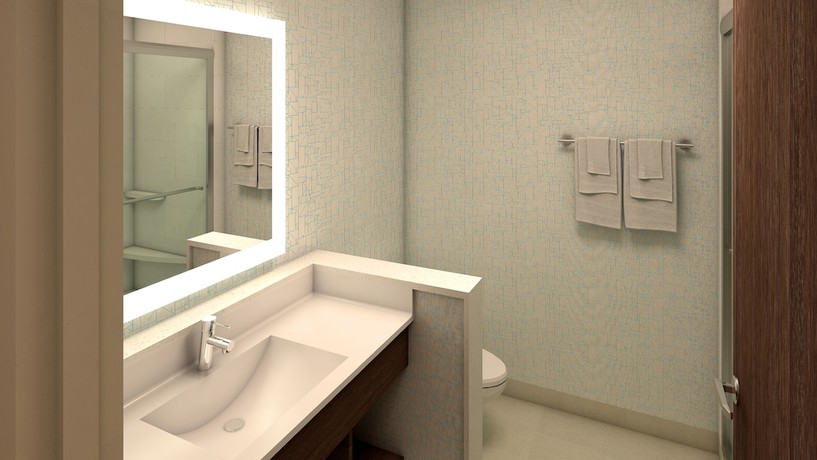 Imagen de la habitación del Hotel Holiday Inn Express And Suites Braselton West, An Ihg. Foto 15