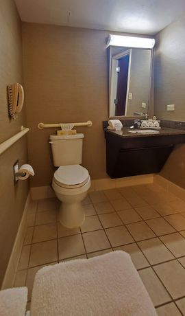 Imagen de la habitación del Hotel Holiday Inn Express And Suites Buffalo-airport, An Ihg. Foto 6