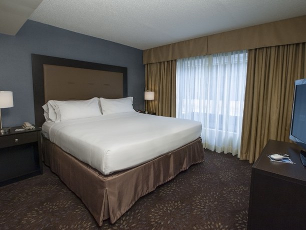 Imagen de la habitación del Hotel Holiday Inn Express And Suites Buffalo-airport, An Ihg. Foto 7