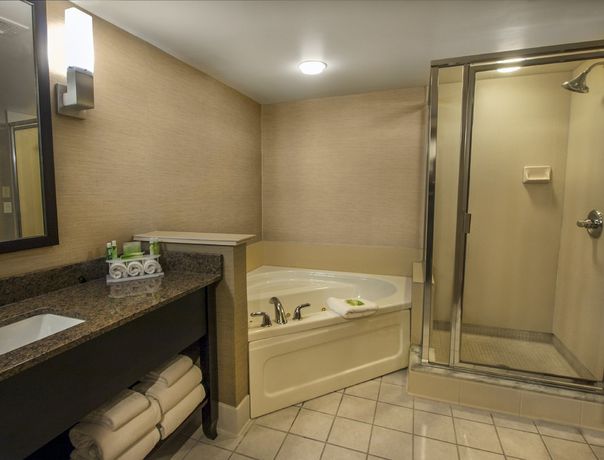 Imagen de la habitación del Hotel Holiday Inn Express And Suites Buffalo-airport, An Ihg. Foto 10