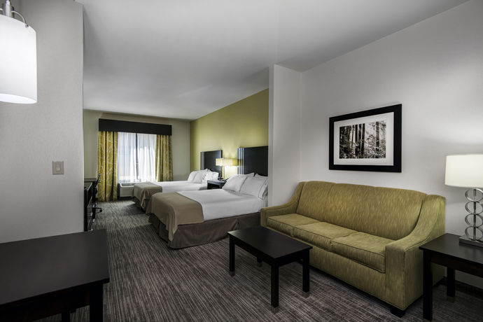 Imagen de los interiores del Hotel Holiday Inn Express And Suites Conway. Foto 16