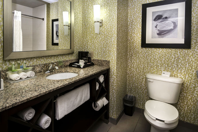 Imagen de la habitación del Hotel Holiday Inn Express And Suites Conway. Foto 13