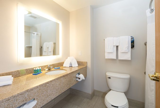 Imagen de la habitación del Hotel Holiday Inn Express And Suites Detroit - Utica, An Ihg. Foto 4