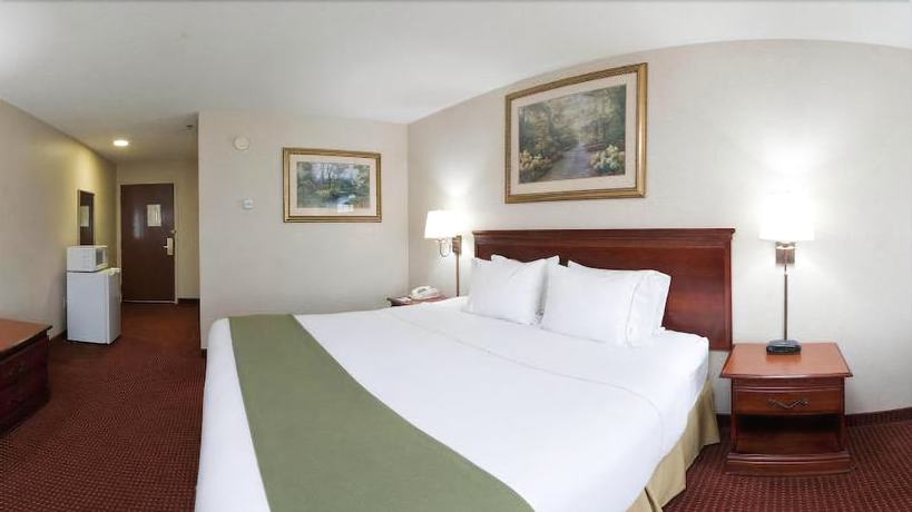 Imagen de la habitación del Hotel Holiday Inn Express And Suites Murphy, An Ihg. Foto 7