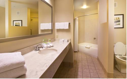 Imagen general del Hotel Holiday Inn Express And Suites New Orleans Airport. Foto 1