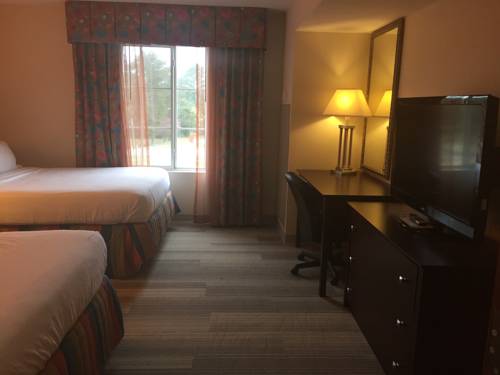Imagen de la habitación del Hotel Holiday Inn Express And Suites Petersburg Fort Lee. Foto 2