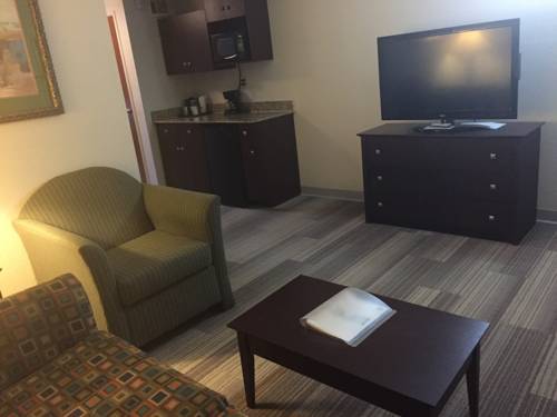 Imagen de la habitación del Hotel Holiday Inn Express And Suites Petersburg Fort Lee. Foto 3