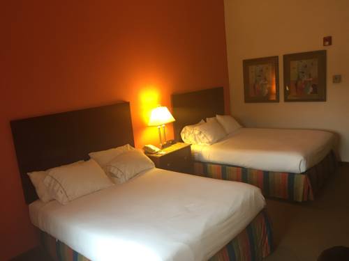 Imagen de la habitación del Hotel Holiday Inn Express And Suites Petersburg Fort Lee. Foto 5