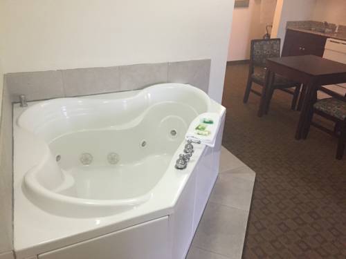 Imagen de la habitación del Hotel Holiday Inn Express And Suites Petersburg Fort Lee. Foto 9