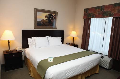 Imagen general del Hotel Holiday Inn Express And Suites Springfield Medical District. Foto 1