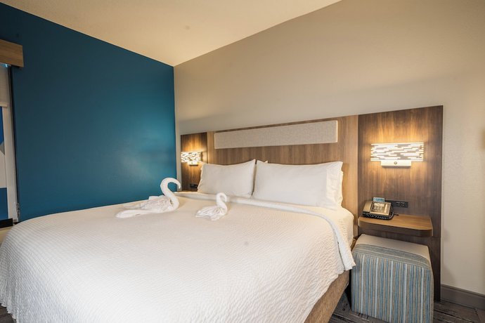 Imagen de la habitación del Hotel Holiday Inn Express And Suites Tampa Northwest - Oldsmar, An Ihg. Foto 4