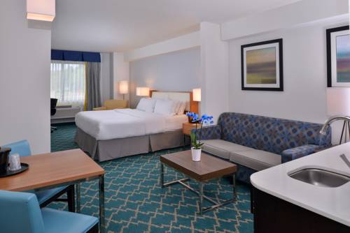 Imagen de la habitación del Hotel Holiday Inn Express And Suites West Ocean City. Foto 9