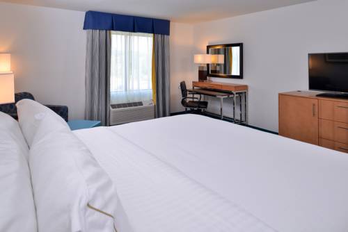 Imagen de la habitación del Hotel Holiday Inn Express And Suites West Ocean City. Foto 11
