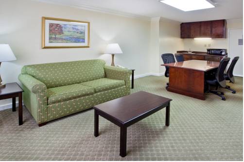 Imagen de la habitación del Hotel Holiday Inn Express Athens - University Area. Foto 8