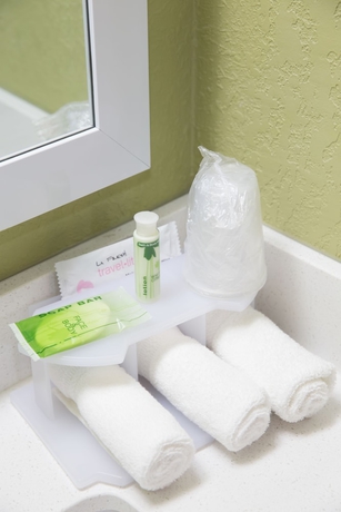 Imagen de la habitación del Hotel Holiday Inn Express Atlanta Galleria Ballpark Area. Foto 11