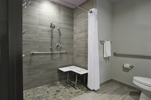 Imagen de la habitación del Hotel Holiday Inn Express Baton Rouge Downtown. Foto 9