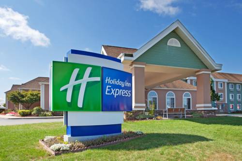 Imagen general del Hotel Holiday Inn Express Birch Run - Frankenmuth Area, An Ihg. Foto 2