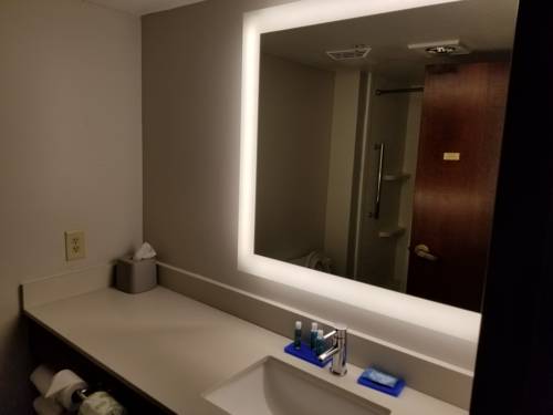 Imagen de la habitación del Hotel Holiday Inn Express Birch Run - Frankenmuth Area, An Ihg. Foto 14