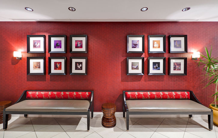 Imagen de los interiores del Hotel Holiday Inn Express Chicago - Magnificent Mile by IHG. Foto 13