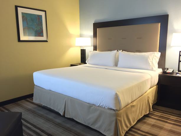 Imagen de la habitación del Hotel Holiday Inn Express Chicago NW - Arlington Heights. Foto 10