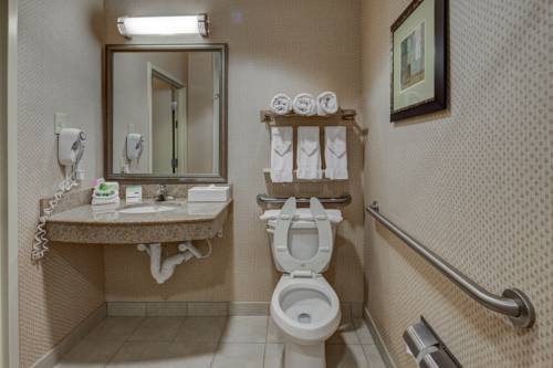Imagen de la habitación del Hotel Holiday Inn Express - Columbus - Dublin. Foto 7