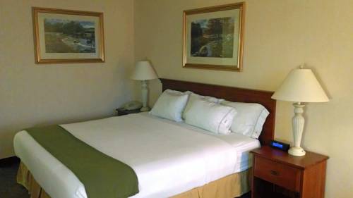 Imagen de la habitación del Hotel Holiday Inn Express Columbus - Ohio Expo Center, An Ihg. Foto 4