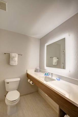 Imagen de la habitación del Hotel Holiday Inn Express Columbus South - Obetz, An Ihg. Foto 3