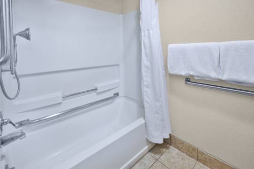 Imagen de la habitación del Hotel Holiday Inn Express Detroit-Warren (Gm Tech Ctr). Foto 4